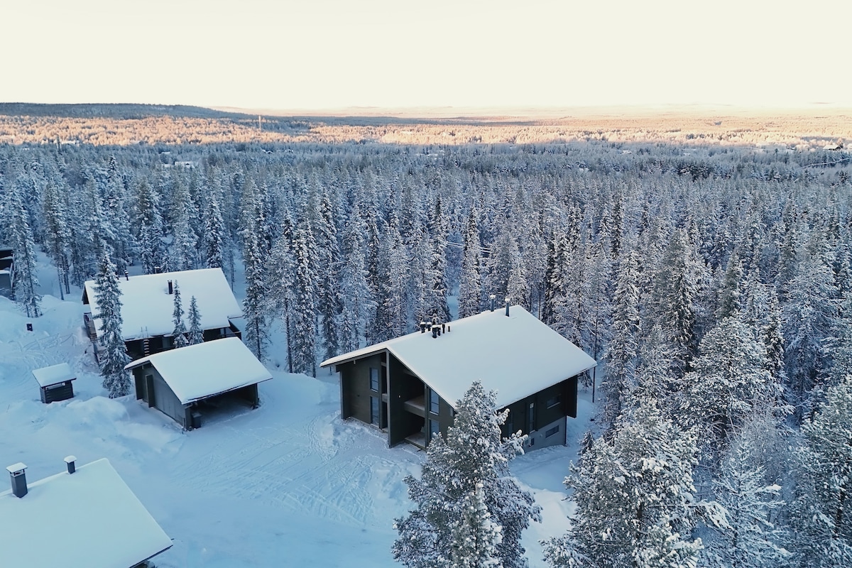 An aerial view captures the serene winter landscape, featuring snow-covered trees and the villa nestled within nature. The structure's dark exterior complements the white surroundings, creating a harmonious blend. Nearby cabins are visible, providing an inviting sense of community in this peaceful setting.