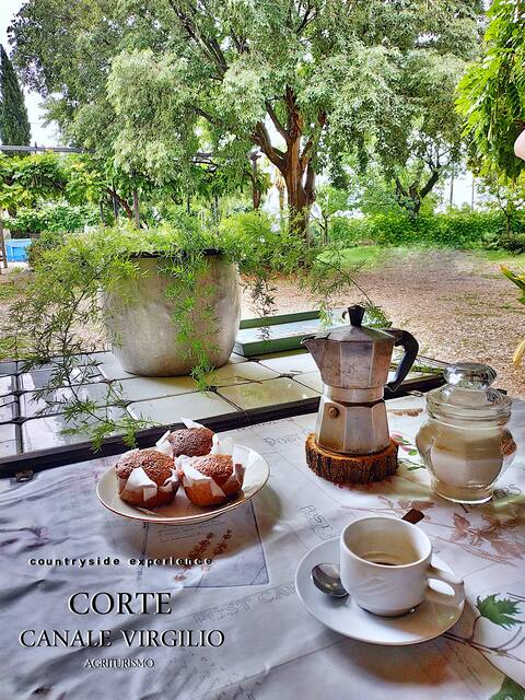 Countryside experience ...farm Holidays