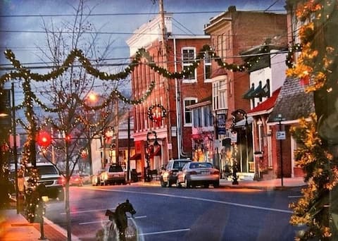 Historic Ridenour (7 bedrooms)