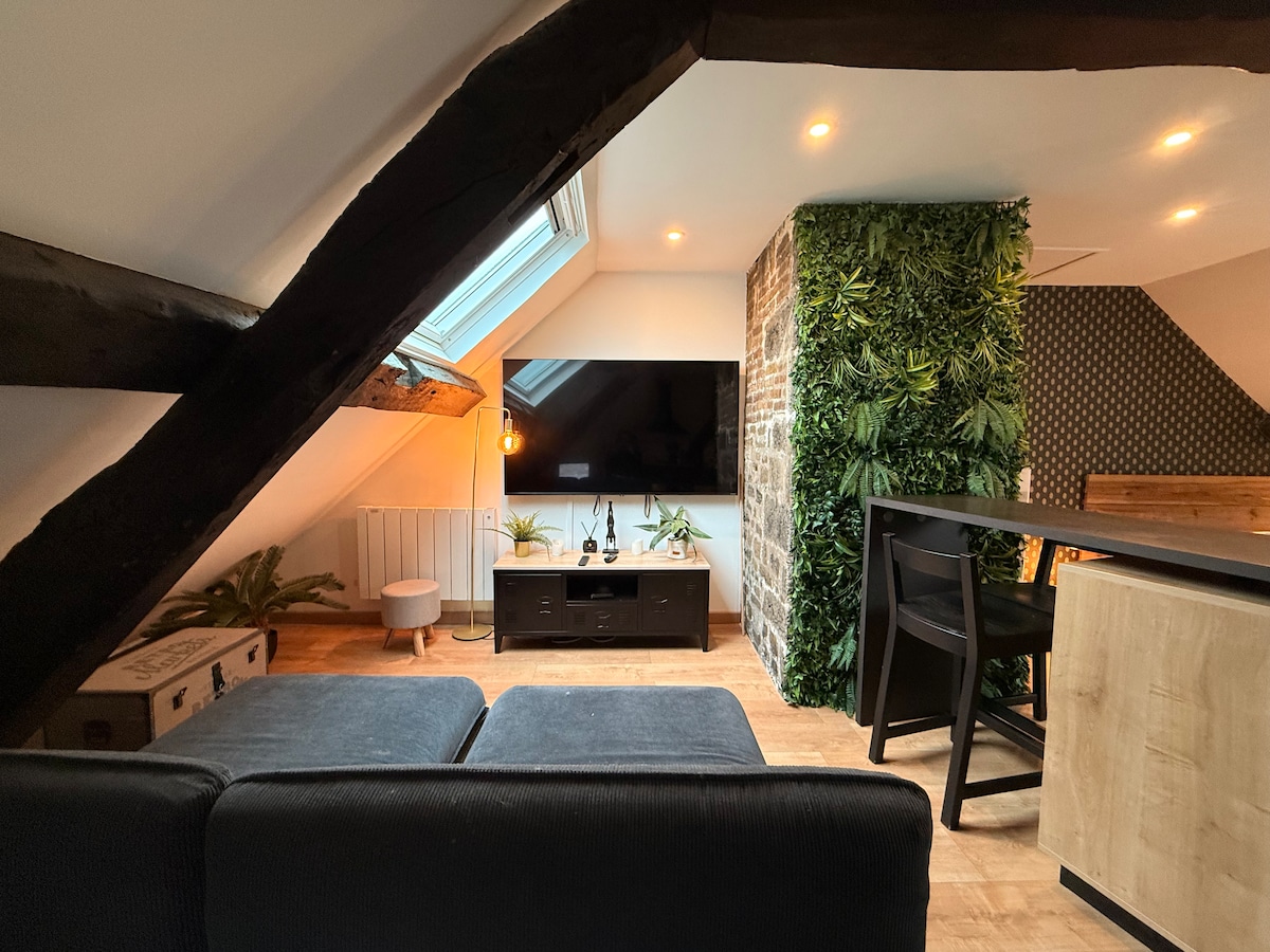 Propriété Airbnb réussie: El Circo - Atypical & Charming Historic Center à Honfleur