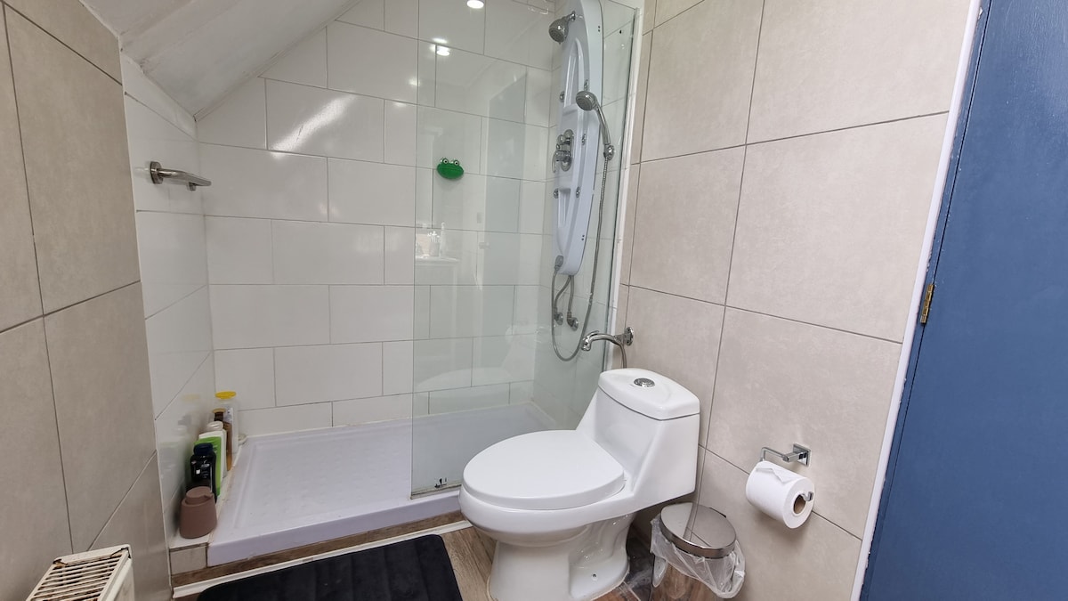 A modern bathroom features a glass-enclosed shower with a handheld showerhead and a sleek toilet. Neutral tiles cover the walls, and a dark mat is placed in front of the toilet. Amenities such as toiletries and toilet paper are neatly arranged.