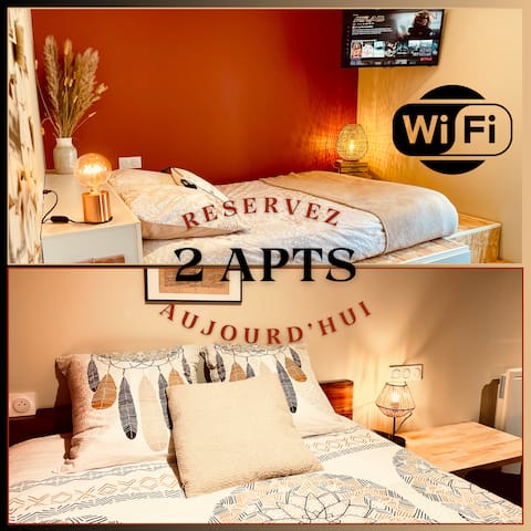 Le Duo Forézien - 2 Ground Floor Apartments - Close to Center