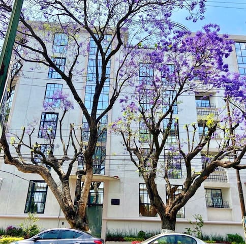 Departamento moderno en la ROMA