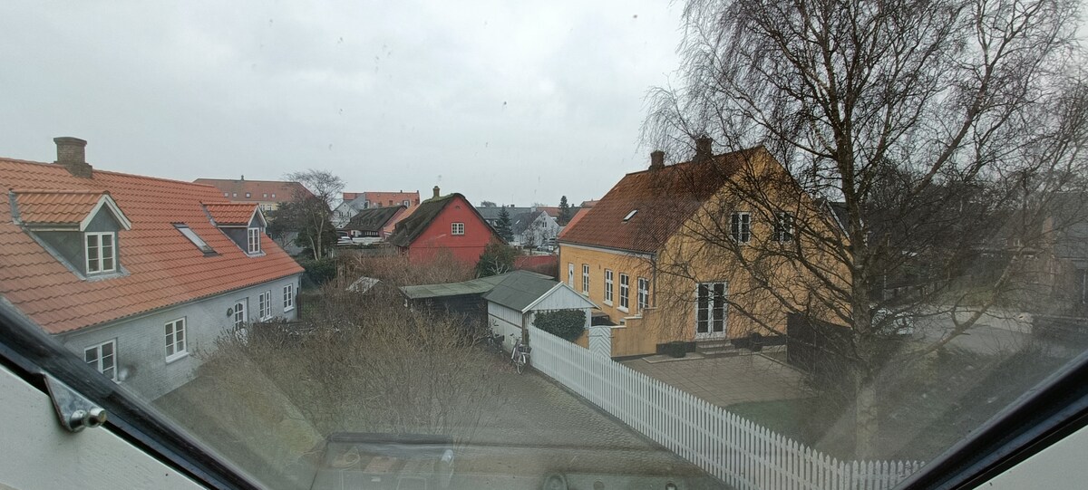 A view from the window showcases a residential area with a mix of colorful houses, including a notable yellow house with a large yard. The scene is framed by trees, and a white fence is visible in the foreground, contributing to the neighborhood's character.