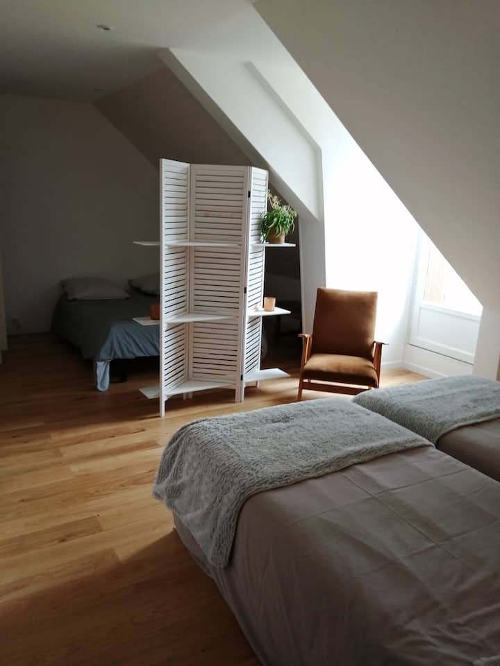 Imazhi 1 i chEd1 Le Mans pranë qarkut