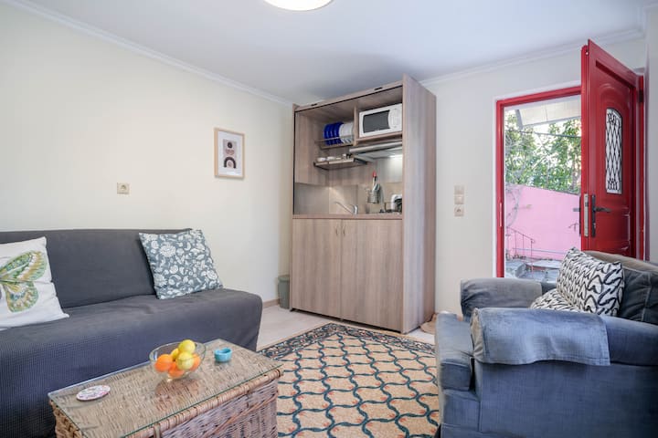 Pequeña habitación de entrada con sofá cama y cocina americana totalmente equipada