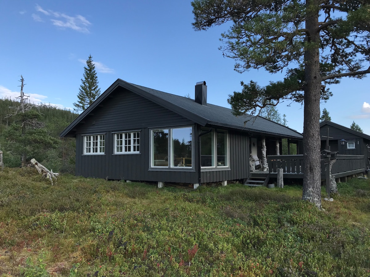 A dark wooden cabin is set among a natural landscape, featuring large windows that allow for plenty of natural light. A spacious deck extends from the front, surrounded by greenery and trees, providing a serene setting.