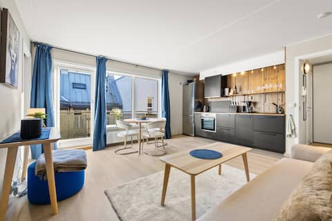 Apartment in central OsloSentrum