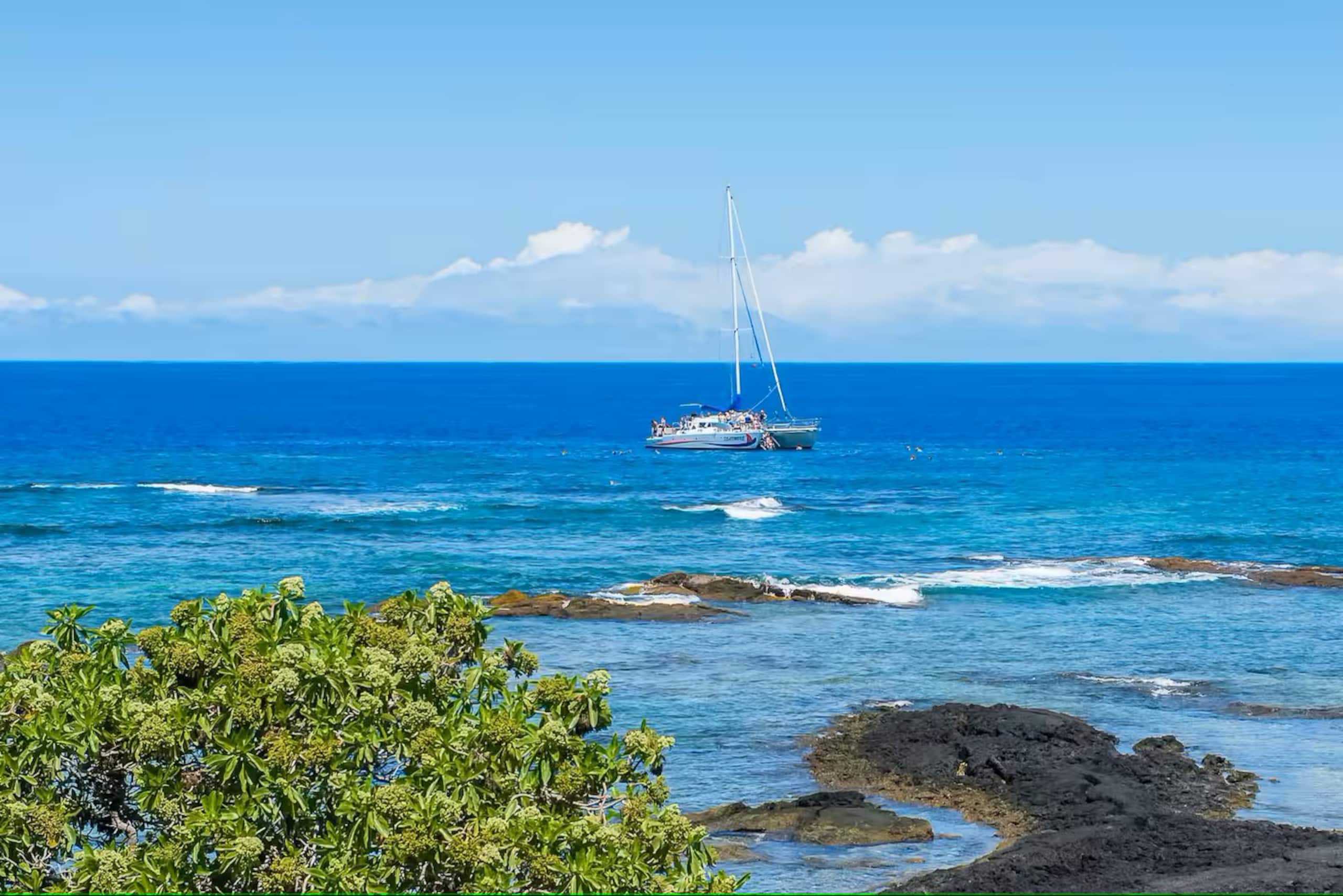 Home in Waimea · ★4.59 · 5 bedrooms · 12 beds · 3 private baths - Image 35
