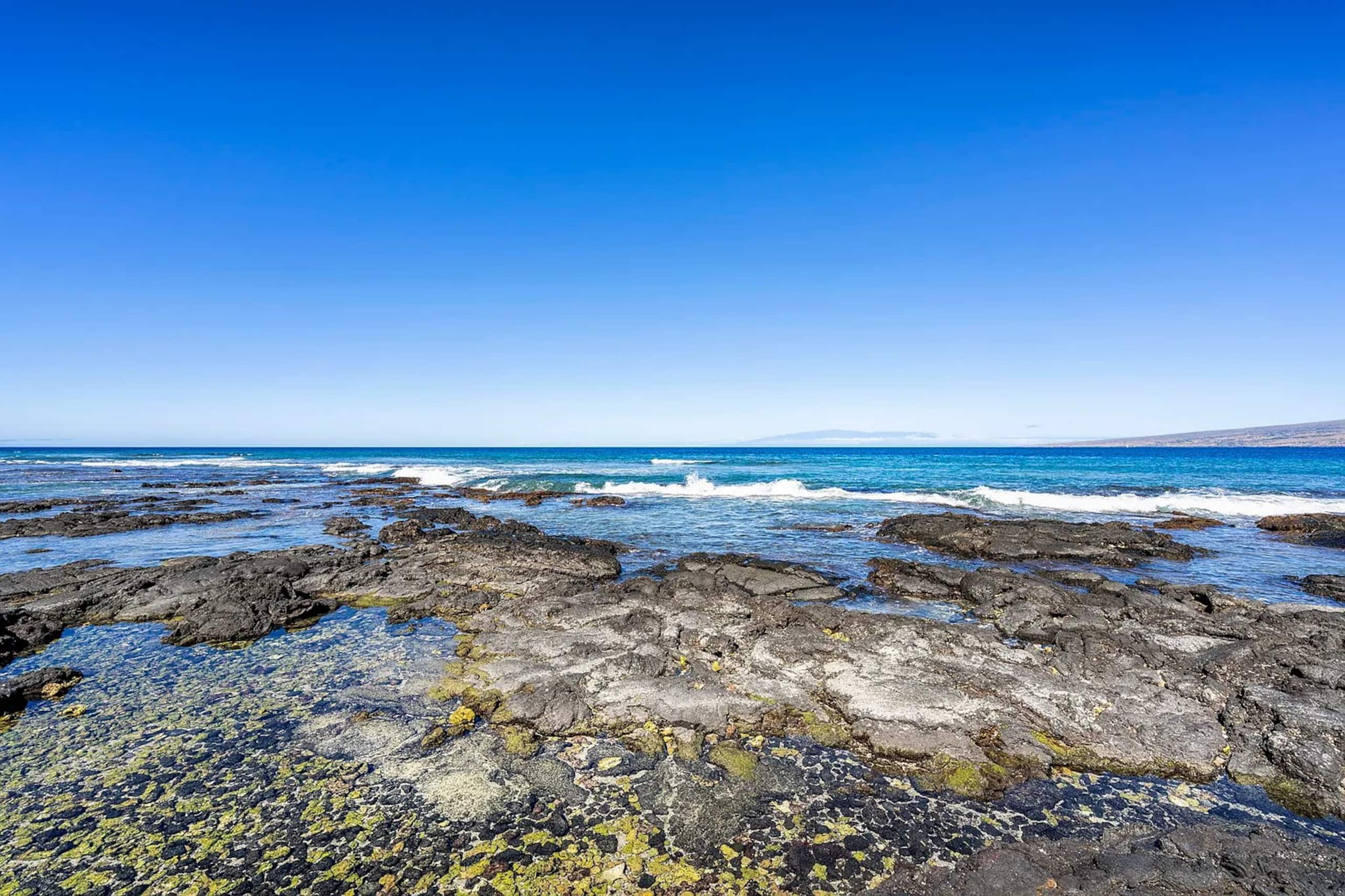 Home in Waimea · ★4.59 · 5 bedrooms · 12 beds · 3 private baths - Image 34