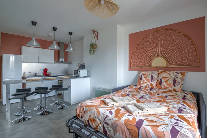 Tournette – 6 Pers – Hyper Centre – Wifi - Viriat