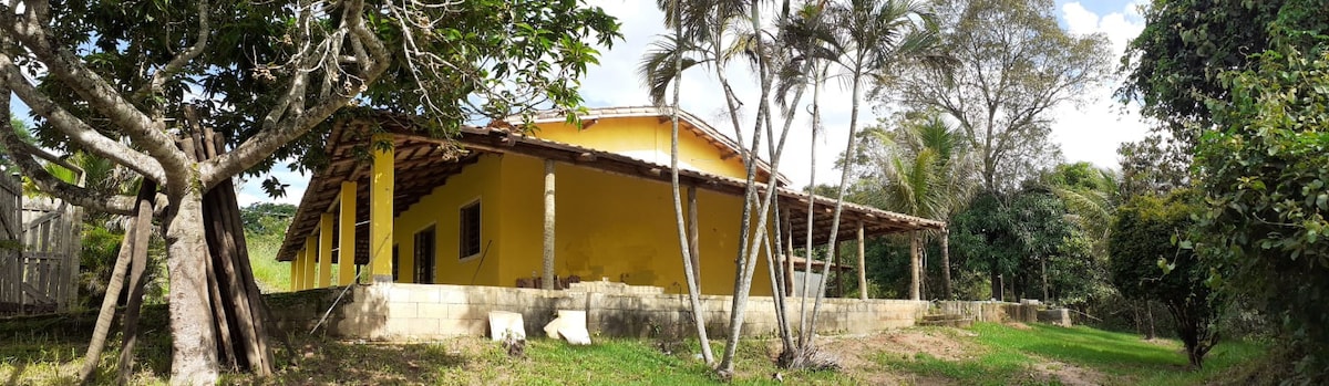 A rural home with a bright yellow exterior is surrounded by lush greenery. A spacious porch extends along the front, supported by wooden posts. Tall palm trees and other vegetation provide a natural setting, enhancing a serene environment.