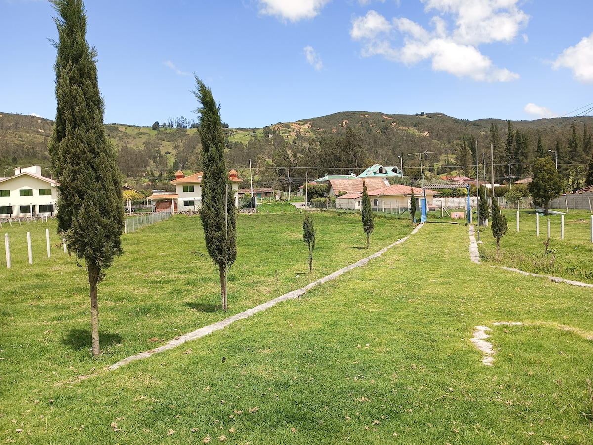 A spacious grassy area is bordered by neatly trimmed trees, creating a serene atmosphere. In the distance, buildings and hills can be seen under a clear blue sky, offering a glimpse of the surrounding landscape.