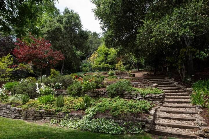 Estate in Los Altos : Backs to Rancho Preserve gallery image 3