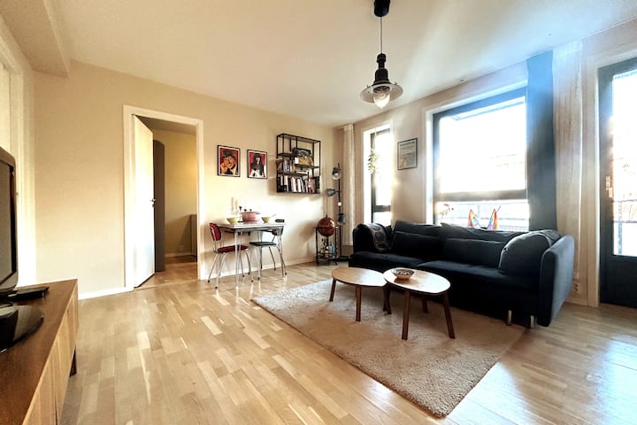 Flott Leilighet Sentralt I Oslo - Oslo