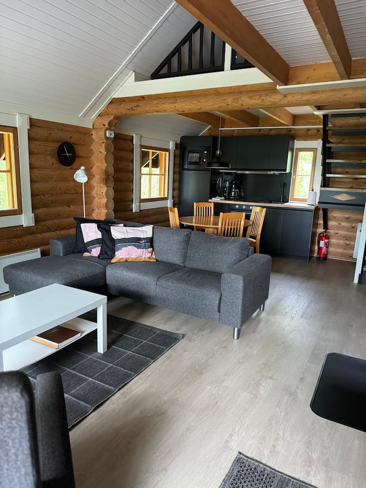 Mökki Ranta-koivu - Kinnula