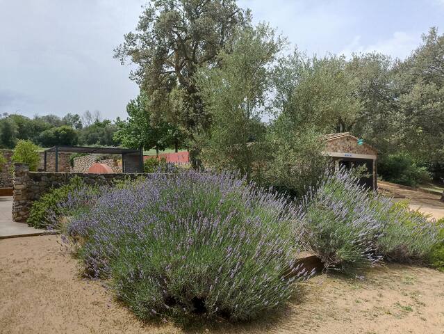 El Gallaret del Pla gallery image 3