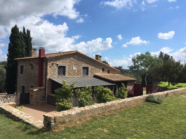 El Gallaret del Pla gallery image 4