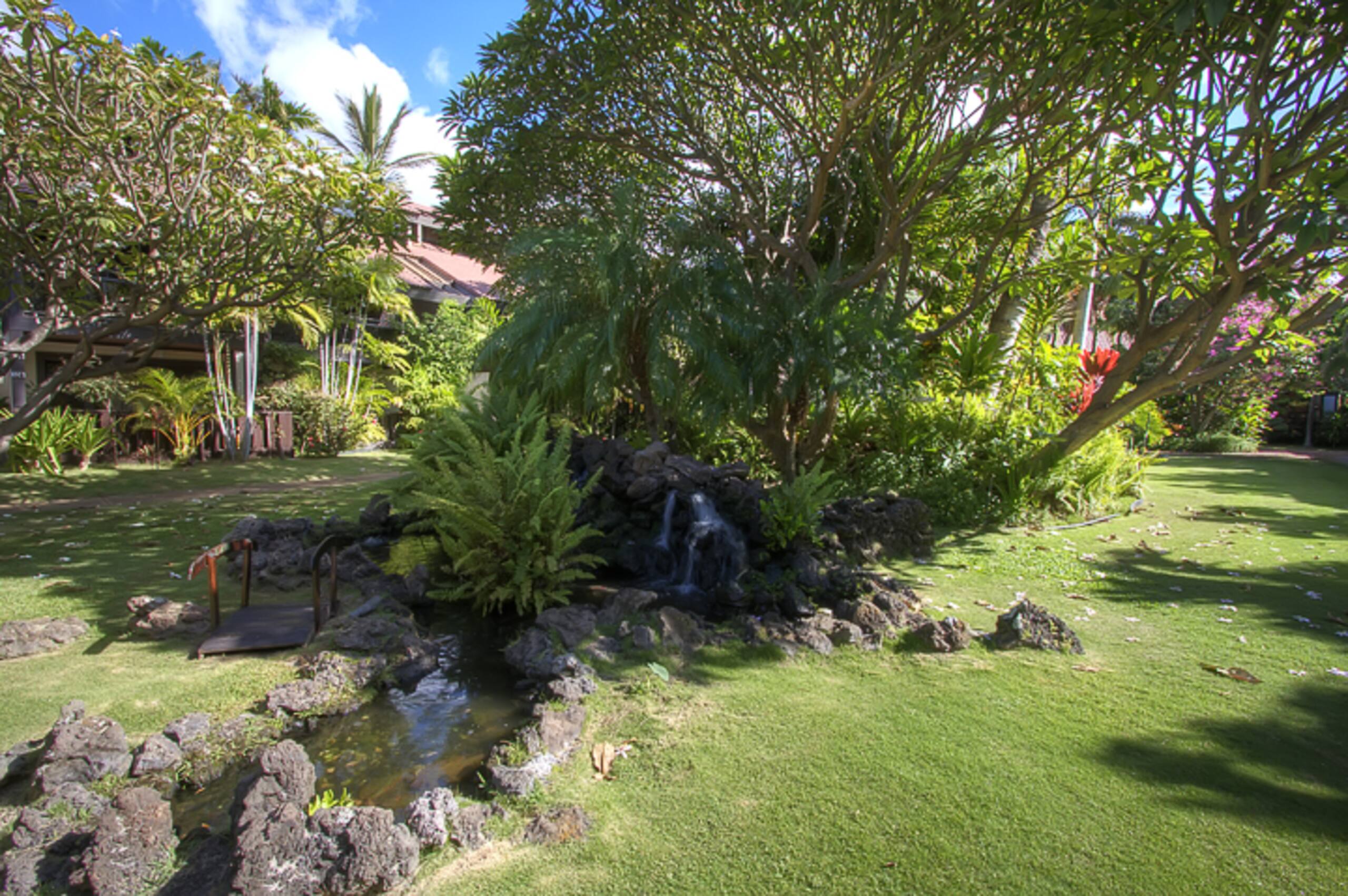Low rates- A/C-free parking-no resort fees KR131 - Image 41
