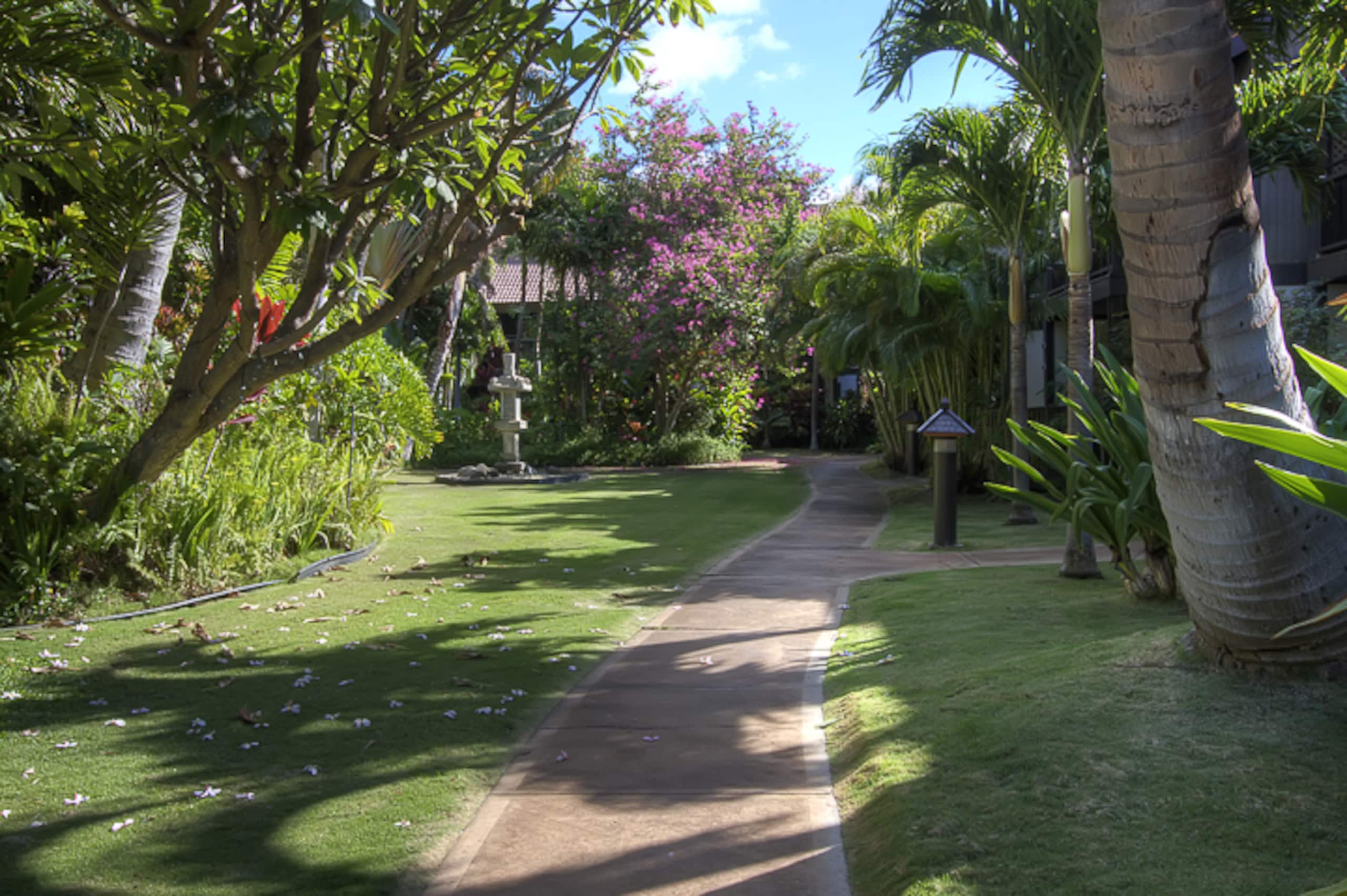 Low rates- A/C-free parking-no resort fees KR131 - Image 40