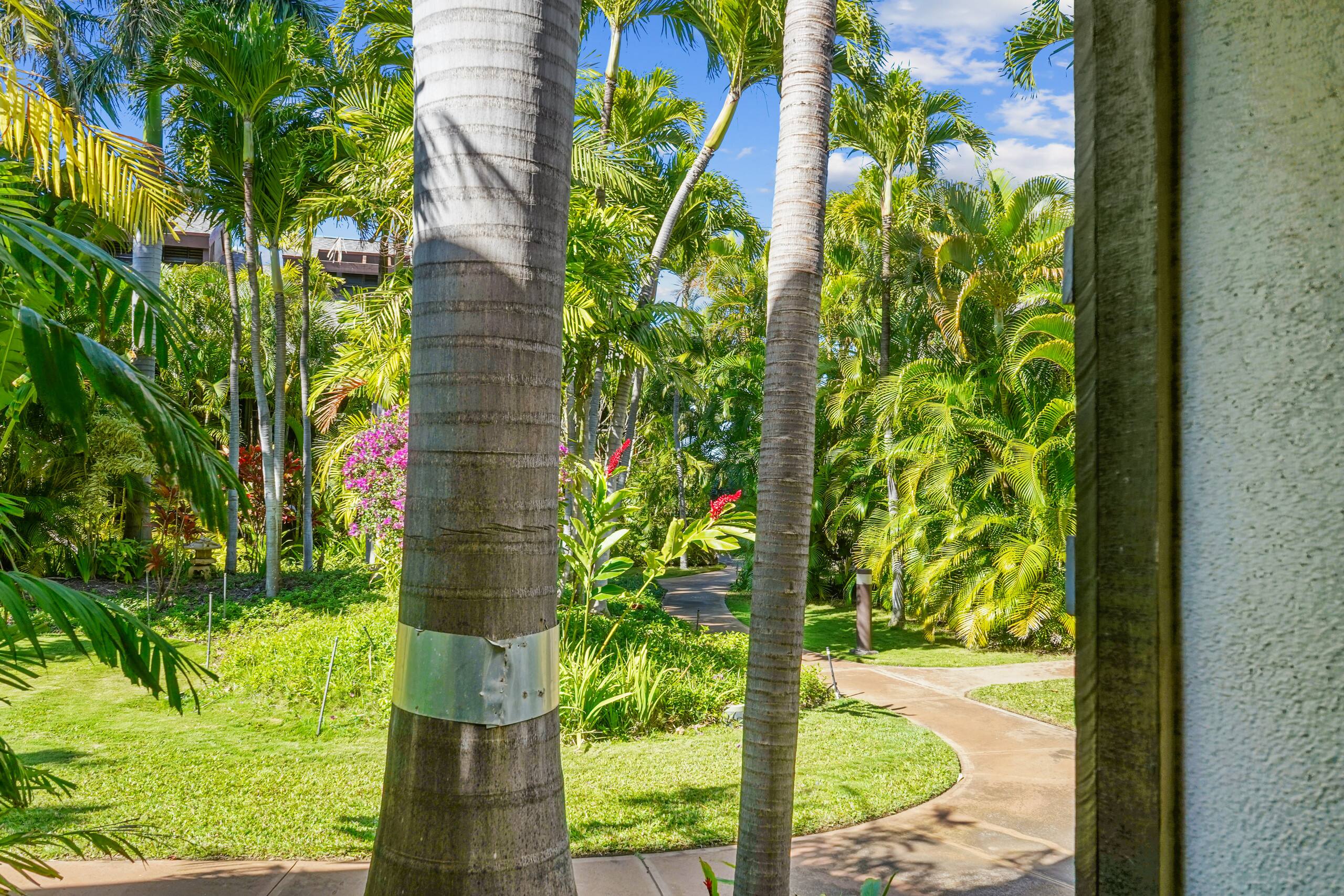Low rates-tropical resort. A/C free parking KR120 - Image 37