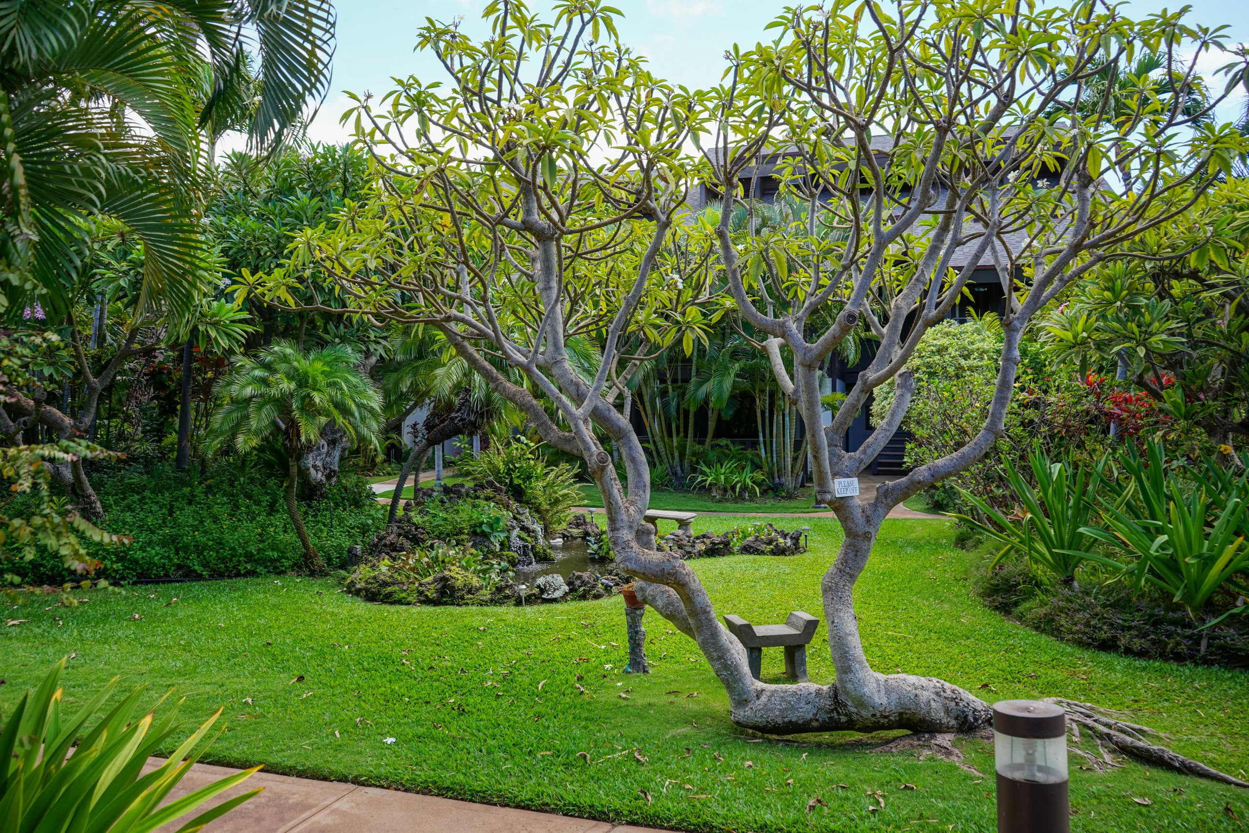 A/C park free no resort fees tropical resort KR108 - Image 27