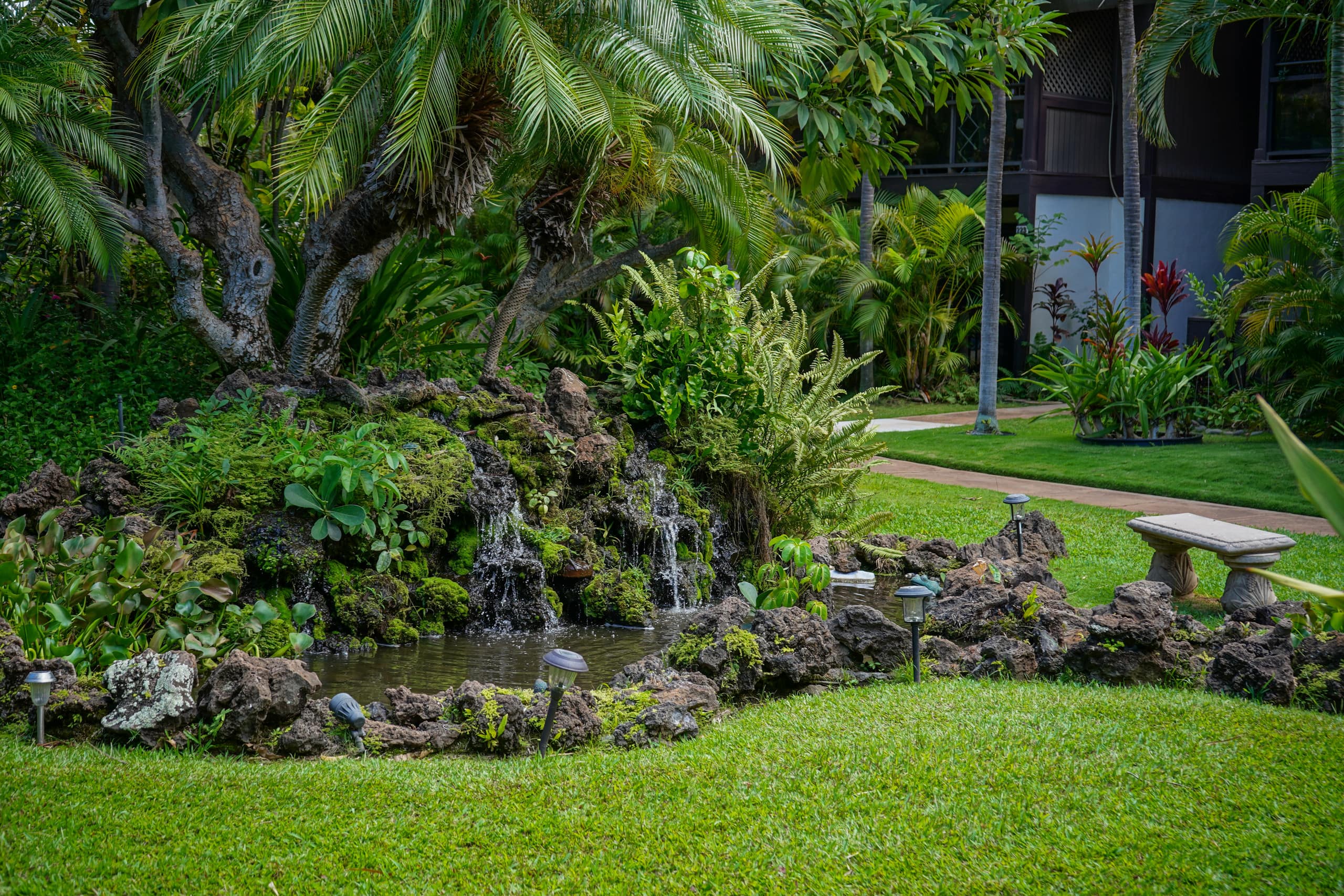 A/C park free no resort fees tropical resort KR108 - Image 26