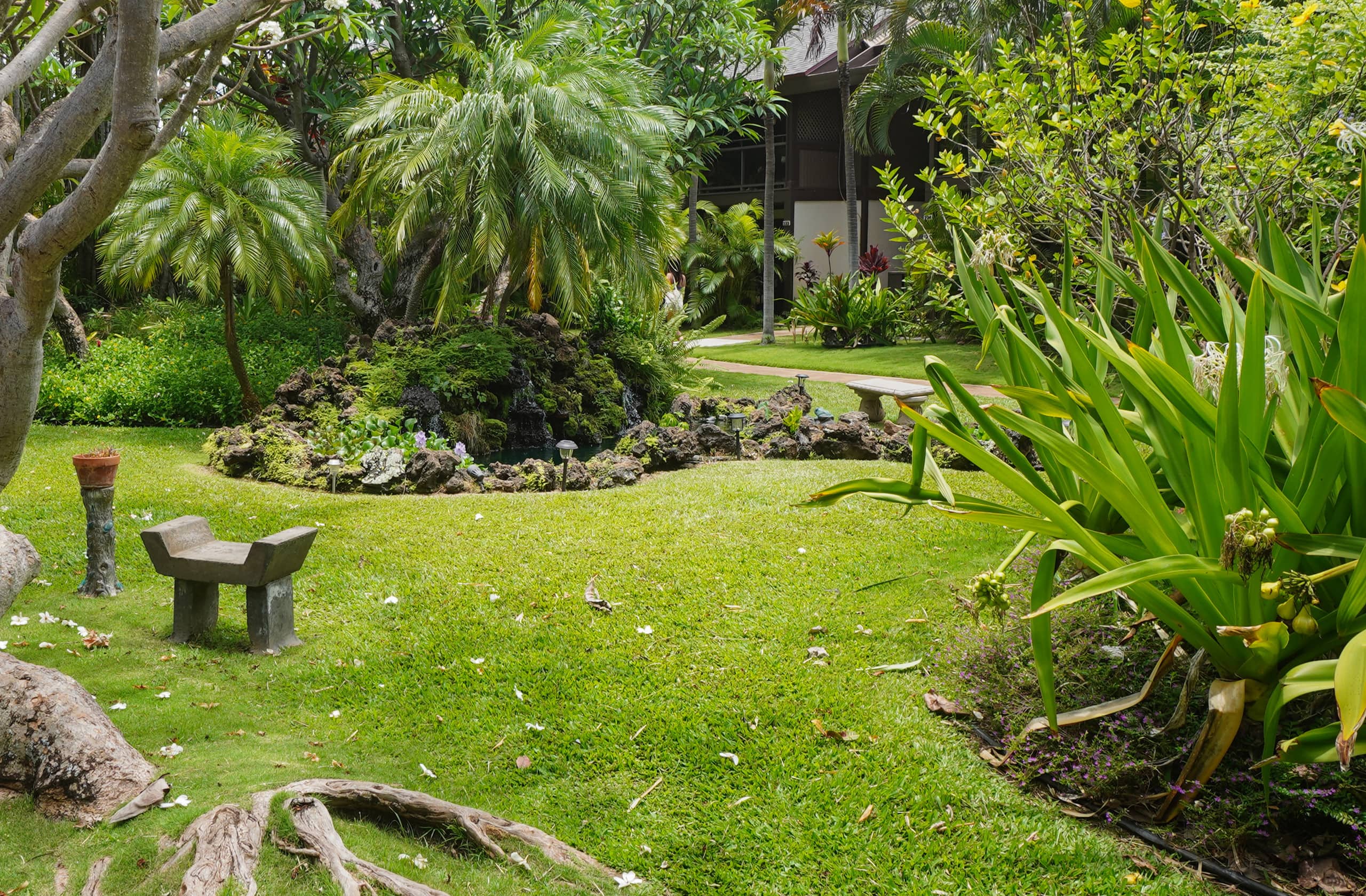 Summer deals now. No resort fee/parking-A/C - Image 23
