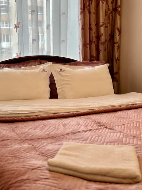 Gogol 64-54 warm atmosphere