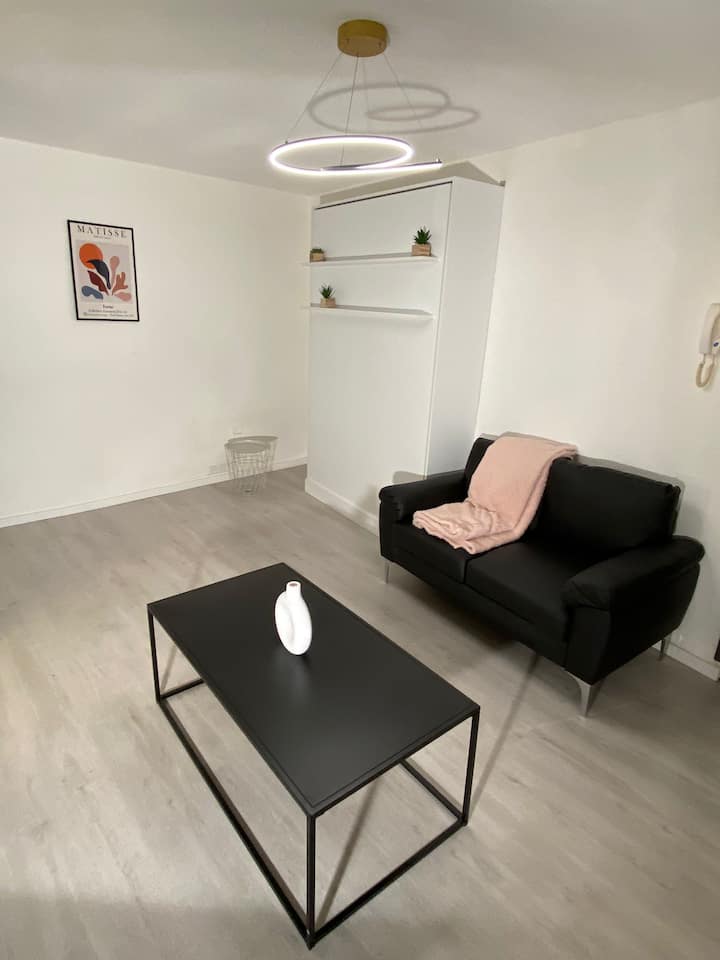 T2 Cosy Et éQuipé, Centre D'albi - Albi