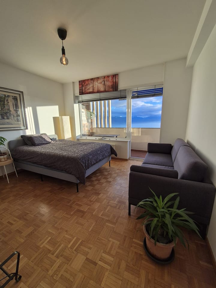 Chambre Et Balcon Vue Imprenable - Lausanne