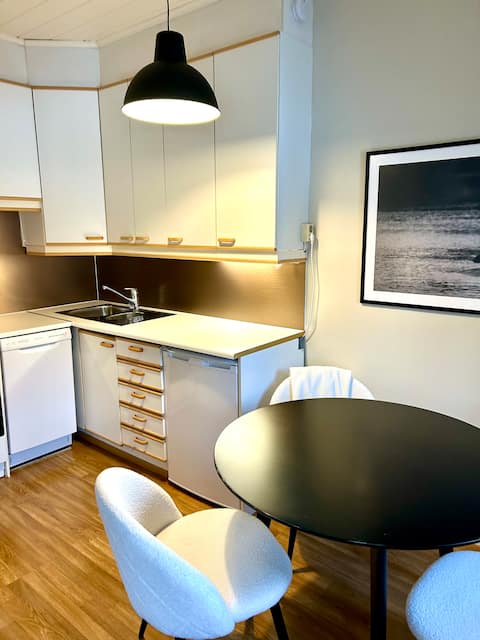 Successful Airbnb property: Studio apartment in Jyväskylä on Rajakatu in Harju