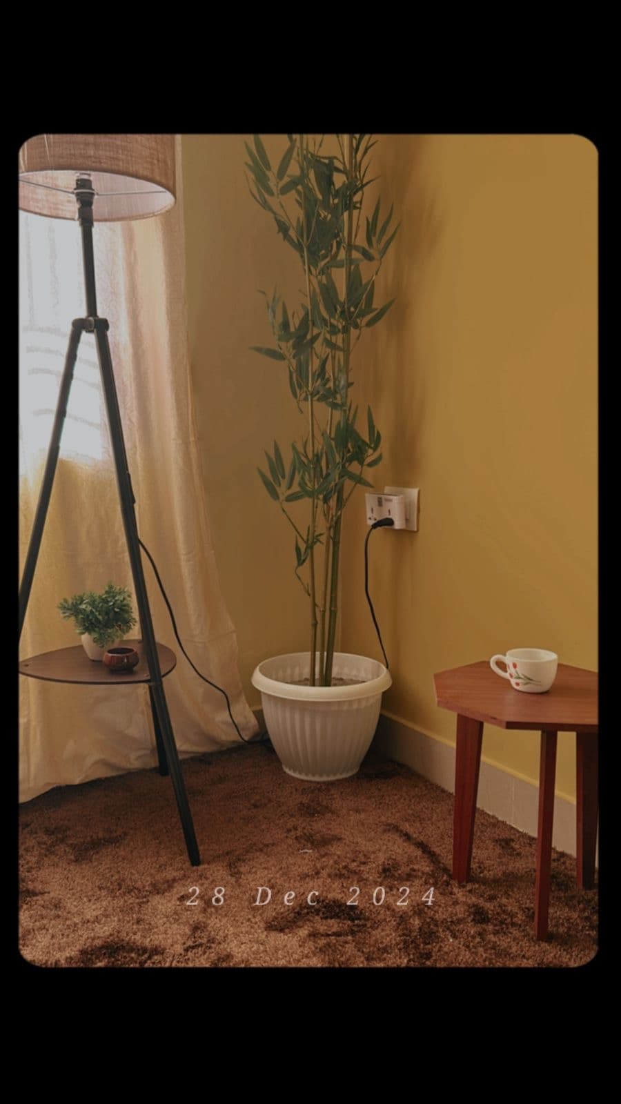 A corner of a room is highlighted, featuring a tall plant in a white pot beside a small wooden table. A lamp on a tripod base provides soft illumination, while a cup rests on the table next to a small potted plant, all set against warm yellow walls.