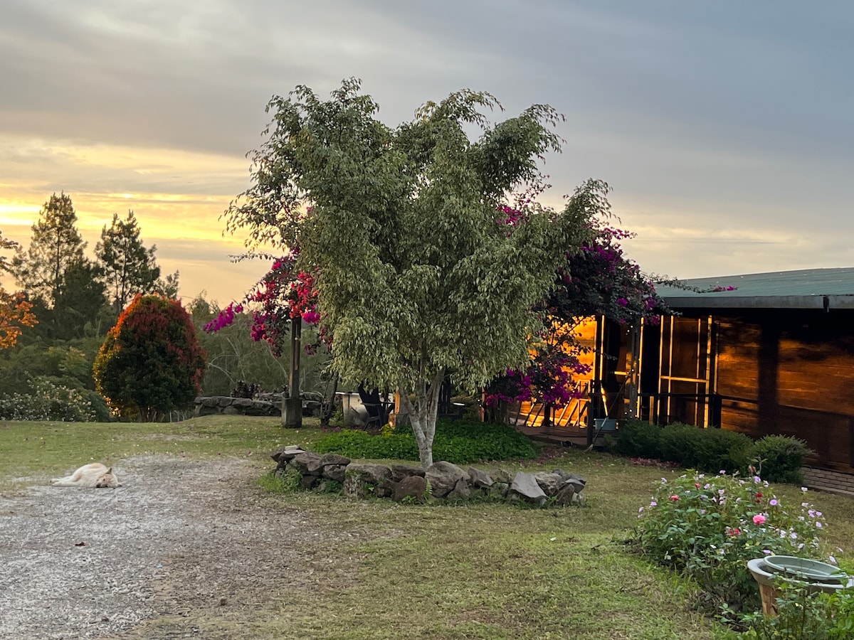 A serene outdoor area is highlighted by a lush tree surrounded by vibrant flowering plants. The structure features large windows that catch the warm glow of the sunset, offering a welcoming and tranquil scene. A grassy lawn completes the peaceful setting.