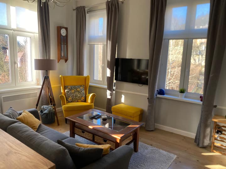 Style Apartment Carlsbad - Karlovy Vary