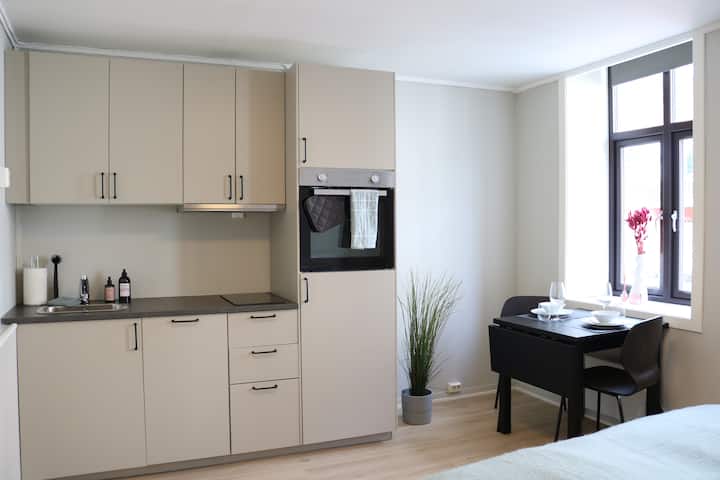 Studio Close To Ntnu And Stolavs - Trondheim