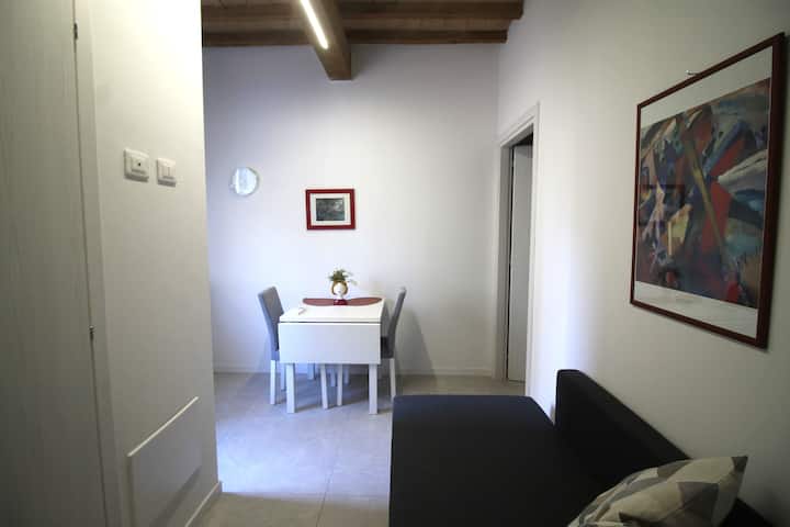 *Silver Grey Suite* Close To City Center & Parking - Modena