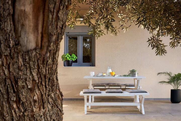 Villa Santa Barbara Private Pool gallery image 5