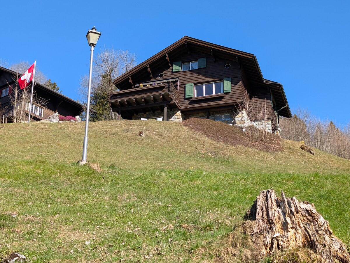 A wooden chalet features classic alpine architecture, nestled on a gentle slope. Green shutters adorn the windows, while a Swiss flag stands proudly beside a street lamp. The grassy landscape adds to the serene mountain setting beneath a clear blue sky.