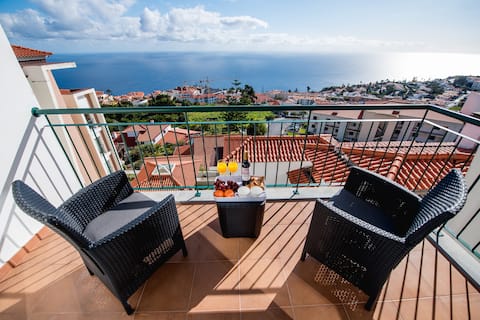 SkyView Penthouse Apartment