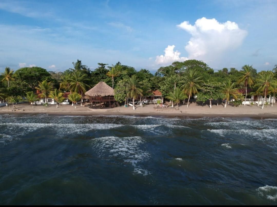 A serene beachfront scene captures a sandy shore lined with palm trees and lush vegetation. A large thatched-roof structure is positioned near the water, offering shaded spots for relaxation. Gentle waves can be seen lapping at the shore under a clear blue sky.