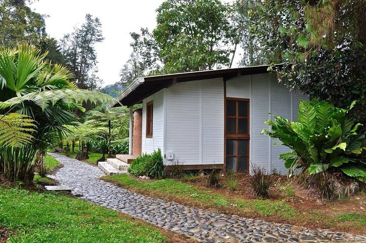 Avalon Hotel En Jardin managed Airbnb listing 1