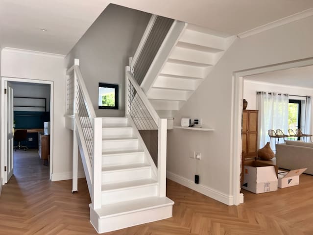 The Palm House – a haven of light and green space gallery image 2