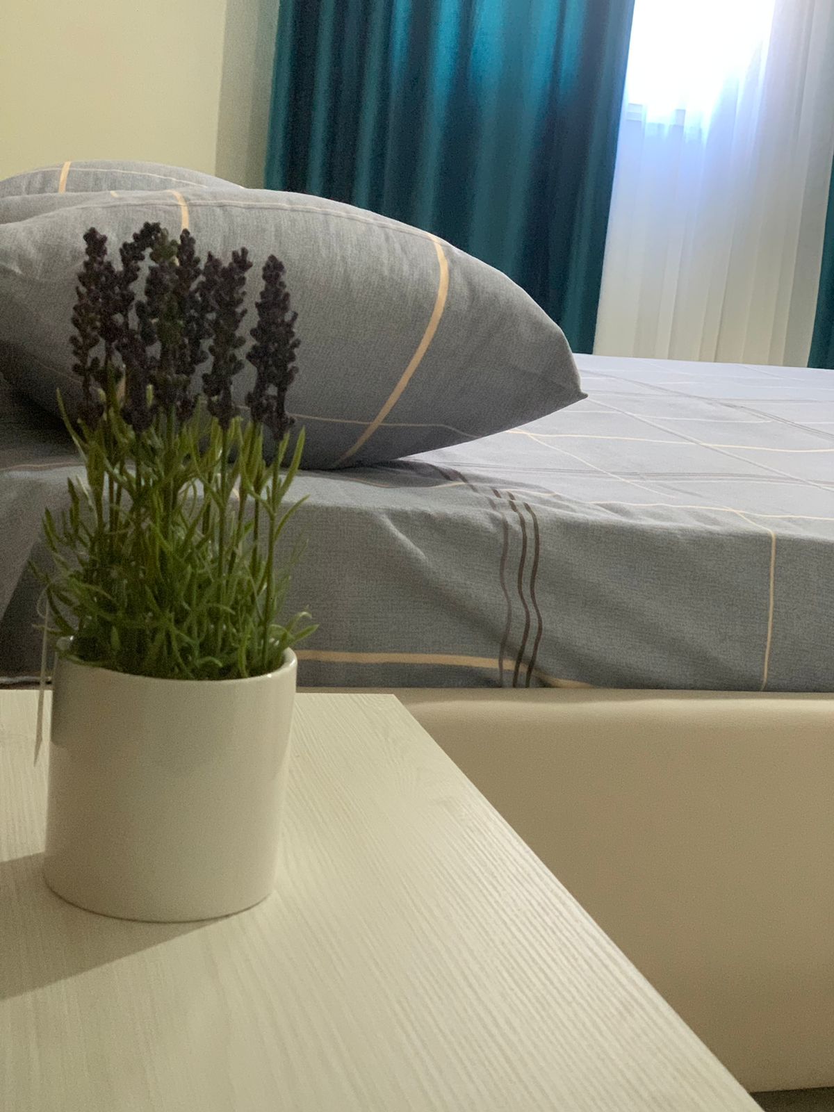 Listing 1351394715927922980