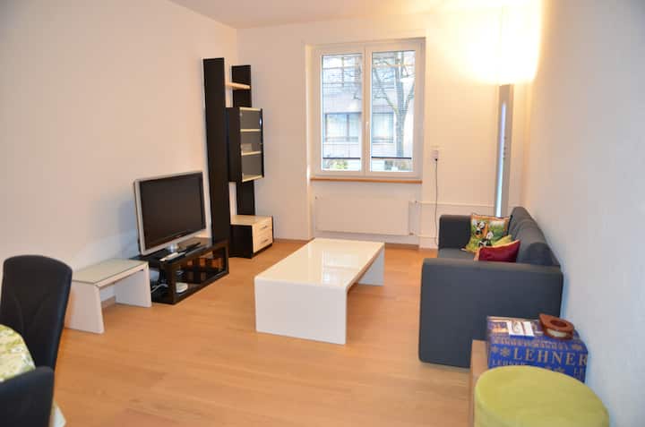 Cozy Apartment - 15 Min. To Novartis Campus - Bâle