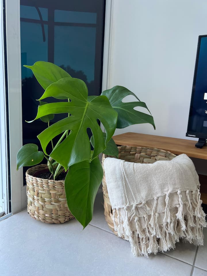 მისაღები ოთახი