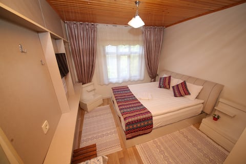 Single Room (Room Only)