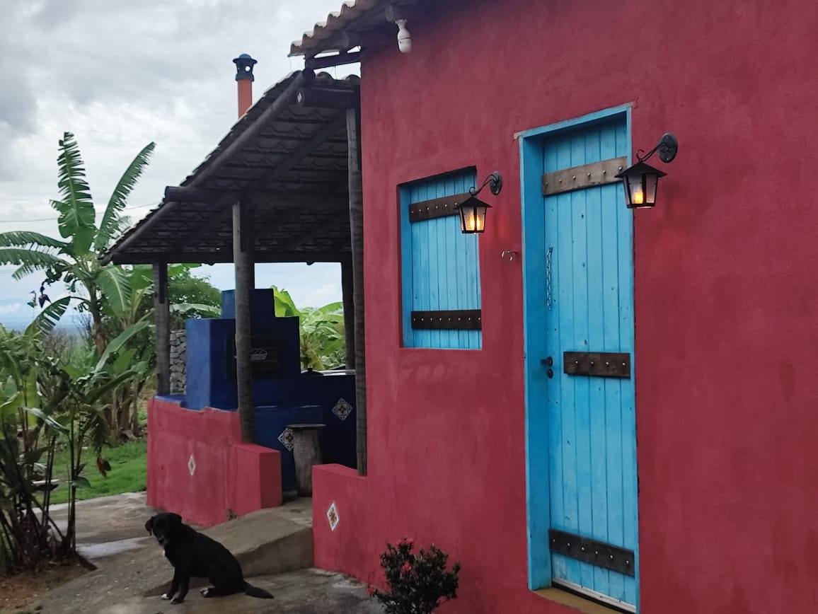 A vibrant red and blue rustic house features a thatched roof and a shaded porch. A black dog sits on the stone path in front, while a stone barbecue area is visible to the left. Lush green plants and trees surround the property.