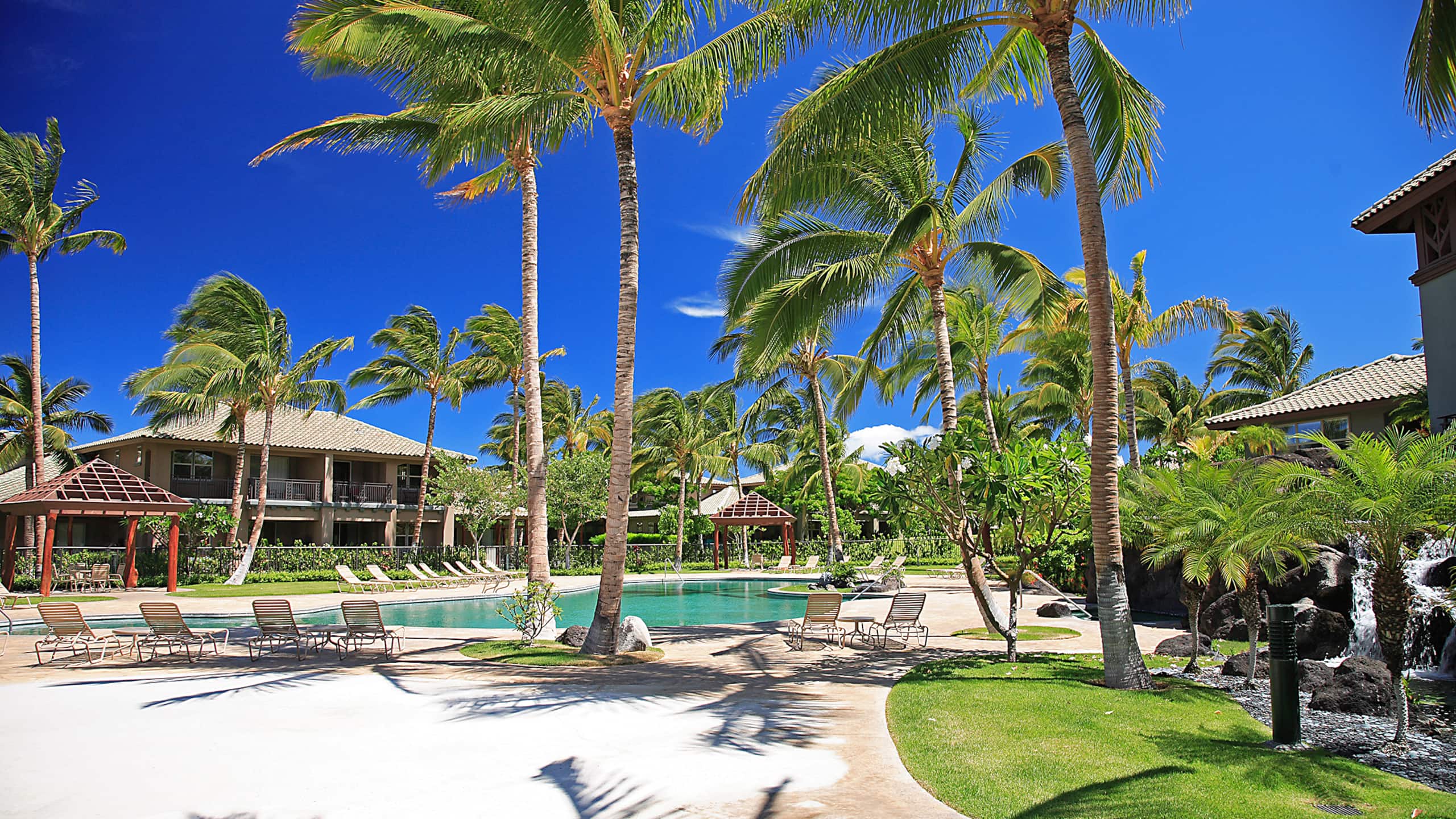 Townhouse in Waimea · ★4.98 · 3 bedrooms · 3 beds · 2.5 baths - Image 13