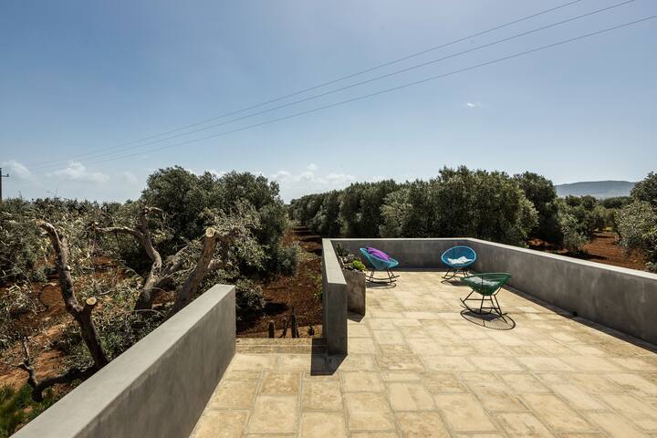 Lamia dal blu, design villa in the olive grove gallery image 3